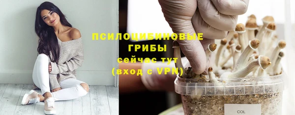мескалин Армянск