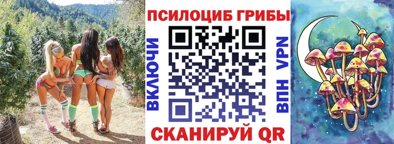Галлюциногенные грибы Cubensis  Балей 