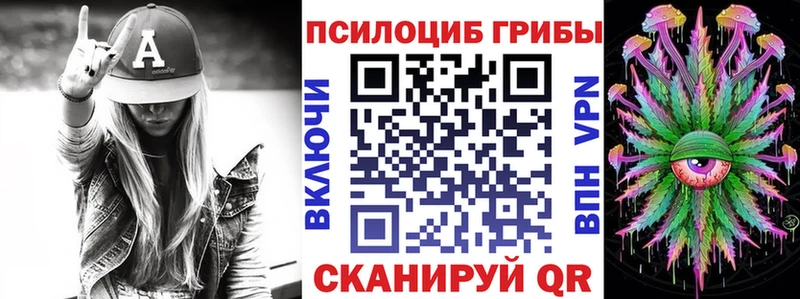 Галлюциногенные грибы Psilocybe Балей