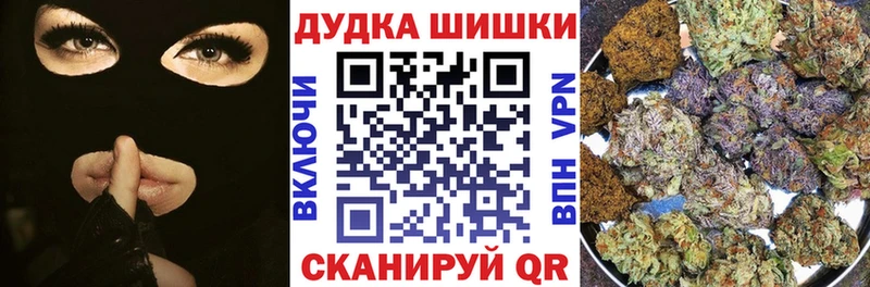 магазин продажи наркотиков  Балей  мега как зайти  Бошки марихуана индика 